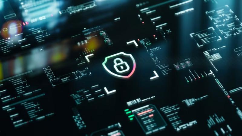 东陵区软件开发公司